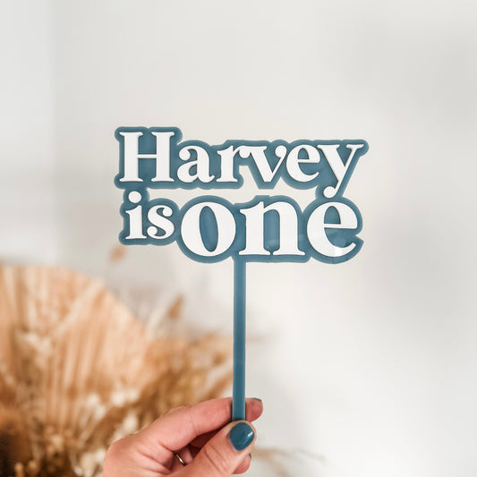 First Birthday 'One' Cake Topper | Harvey